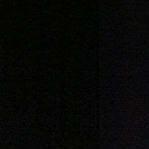 Meet your Posher, Zoey